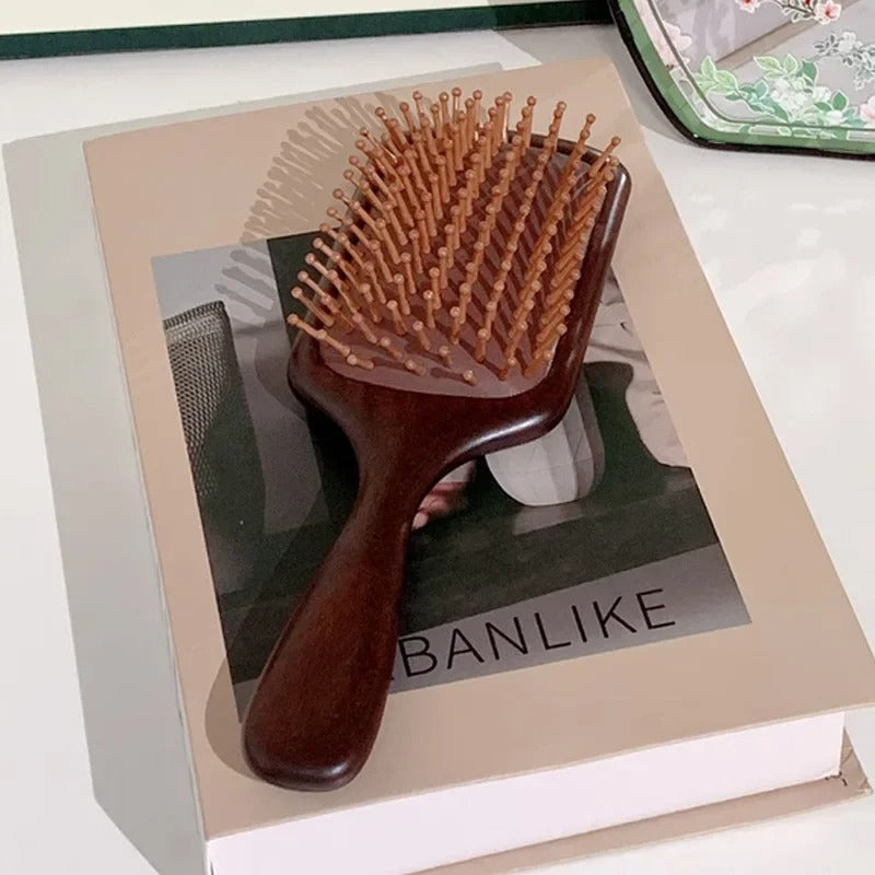 Brosse-a-cheveux-masse-le-cuir-chevelu