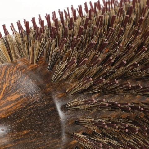  brosse-poil-de-sanglier-bois-ronde-vu-de-près-des-poils-mixtes